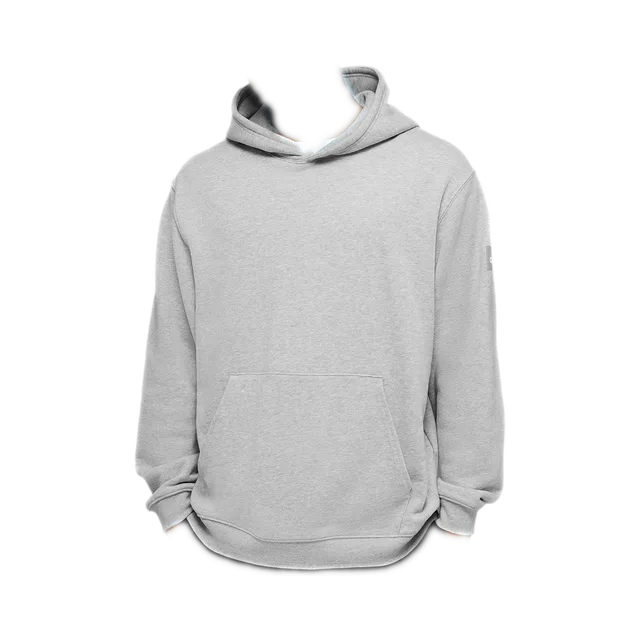 Alo Yoga Hoodie, Light Gray