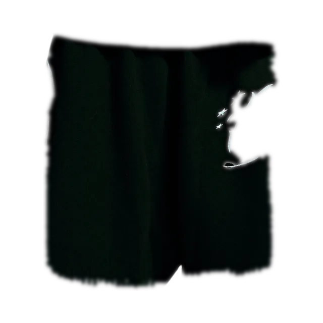 Hellstar Shorts, Black