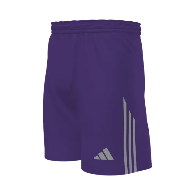 Adidas Shorts, Purple / Green