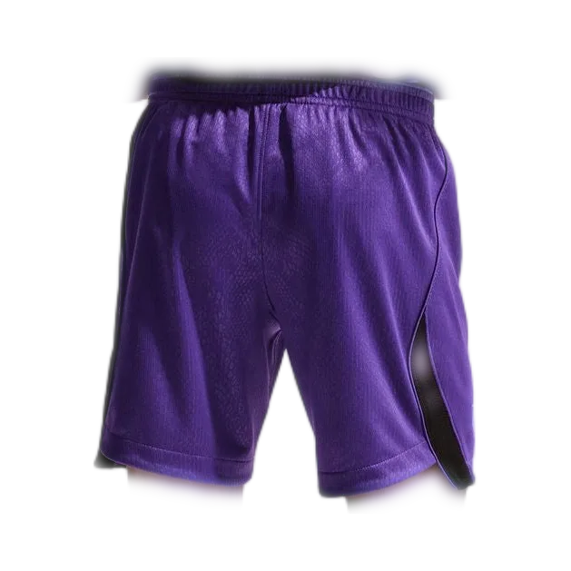 Chunkz Shield Logo Shorts in Purple / White