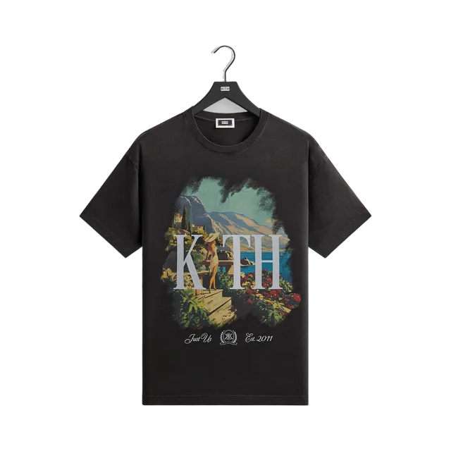 Kith T-Shirt, Black / Multi