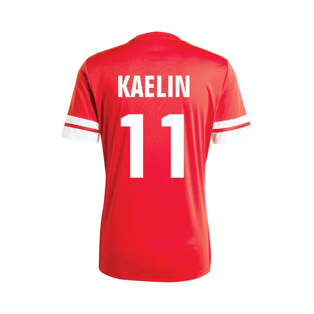 Adidas Jersey, Red / White